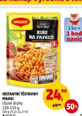 INSTANTNÍ TĚSTOVINY MAGGI