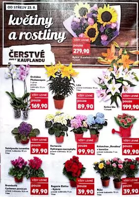 akční leták Kaufland 23.8.2023-29.8.2023