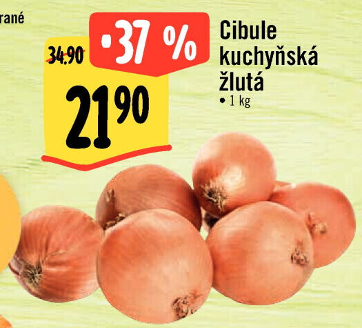 Cibule kuchyňská žlutá