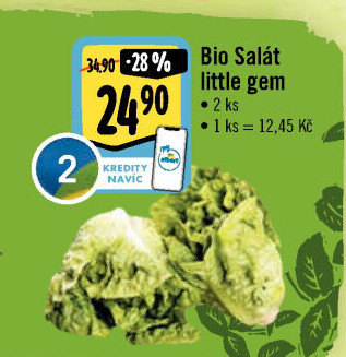 Salát little gem bio