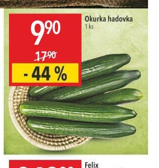 Okurka hadovka