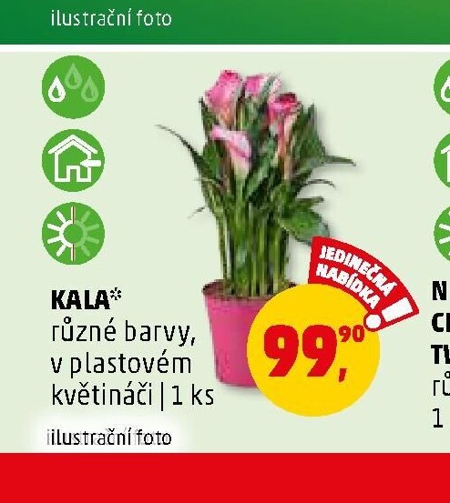 KALA