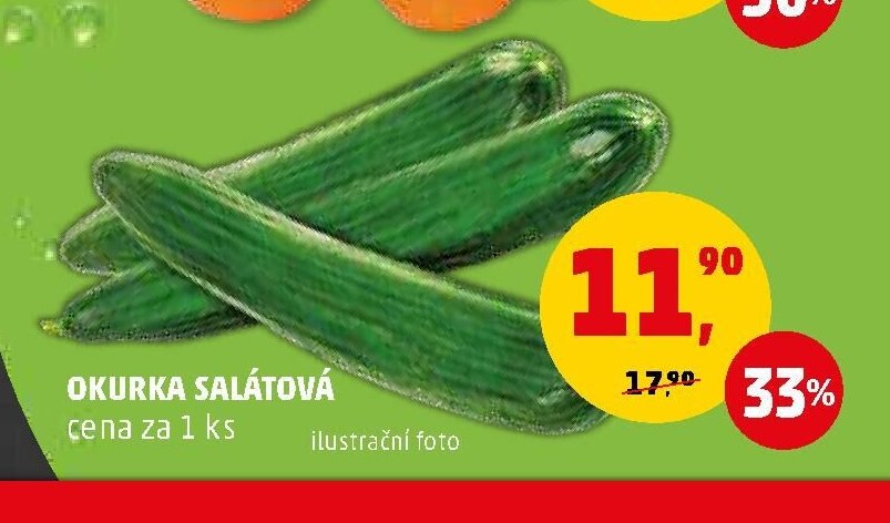 Okurka salátová