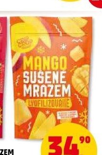 OVOCE SUŠENÉ MRAZEM mango 30 g