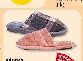 Pánská a dámská domácí obuv