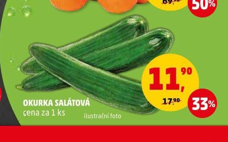 OKURKA SALÁTOVÁ