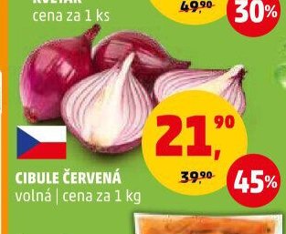 Cibule červená