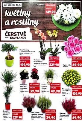 akční leták Kaufland 30.8.2023-5.9.2023