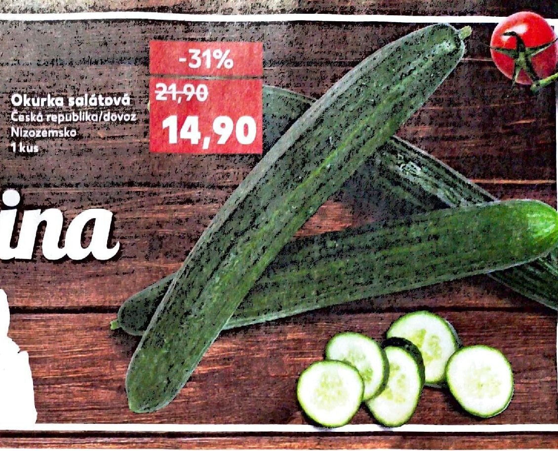 Okurka salátová