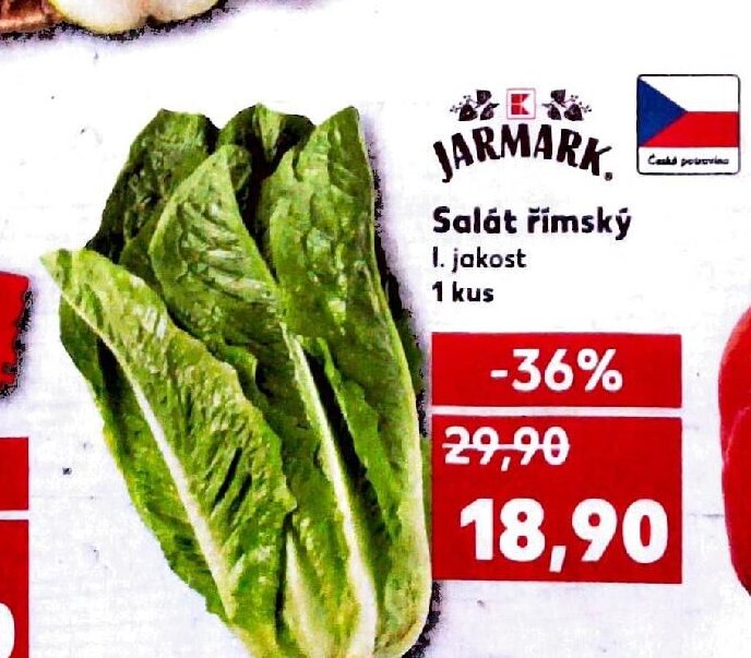 Salát římský