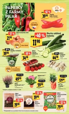 akční leták Albert 30.8.2023-5.9.2023