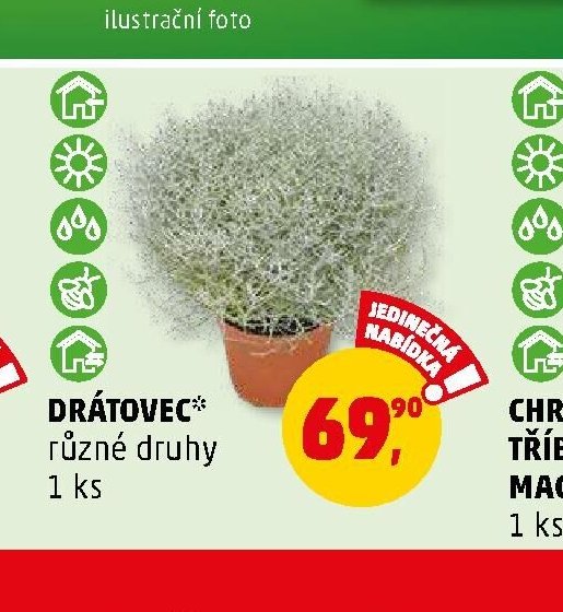 DRÁTOVEC různé druhy