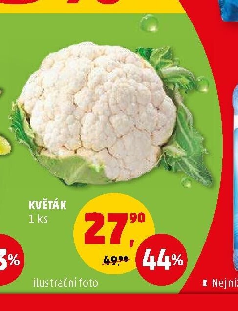 Květák