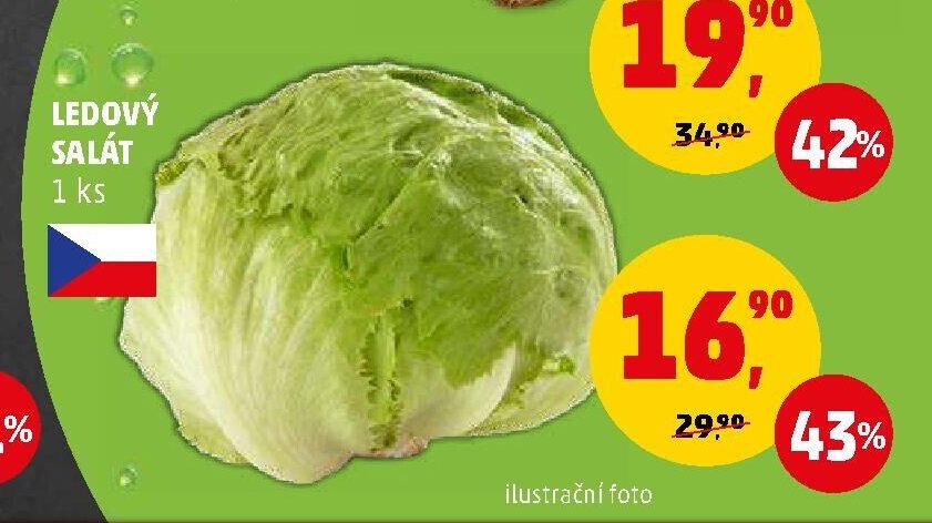 LEDOVÝ SALÁT