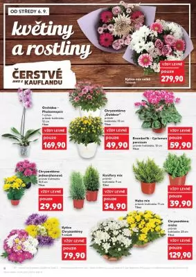 akční leták Kaufland 6.9.2023-12.9.2023