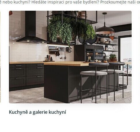 Kuchyně a galerie kuchyní