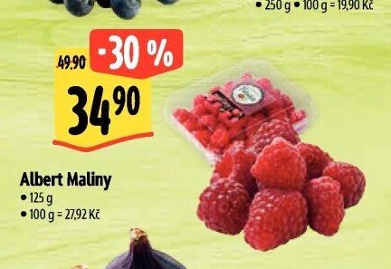 Albert Maliny