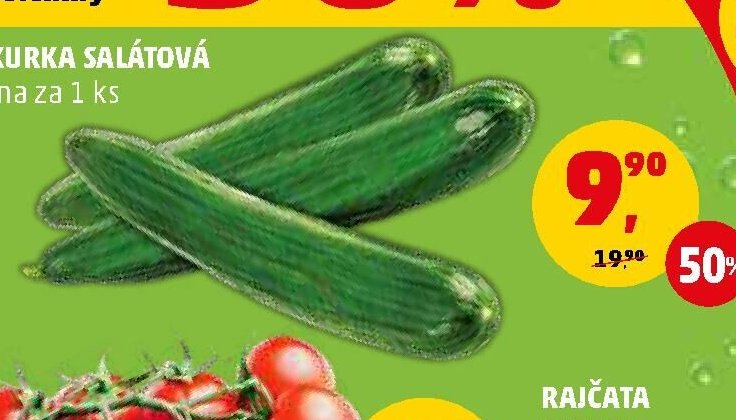 OKURKA SALÁTOVÁ cena za 1 ks