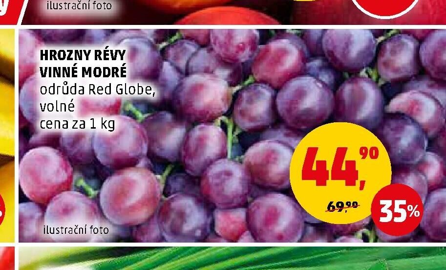HROZNY RÉVY VINNÉ MODRÉ odrůda Red Globe, volné