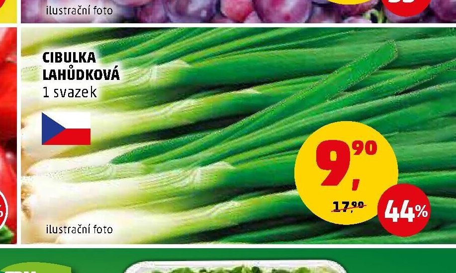 CIBULKA LAHŮDKOVÁ