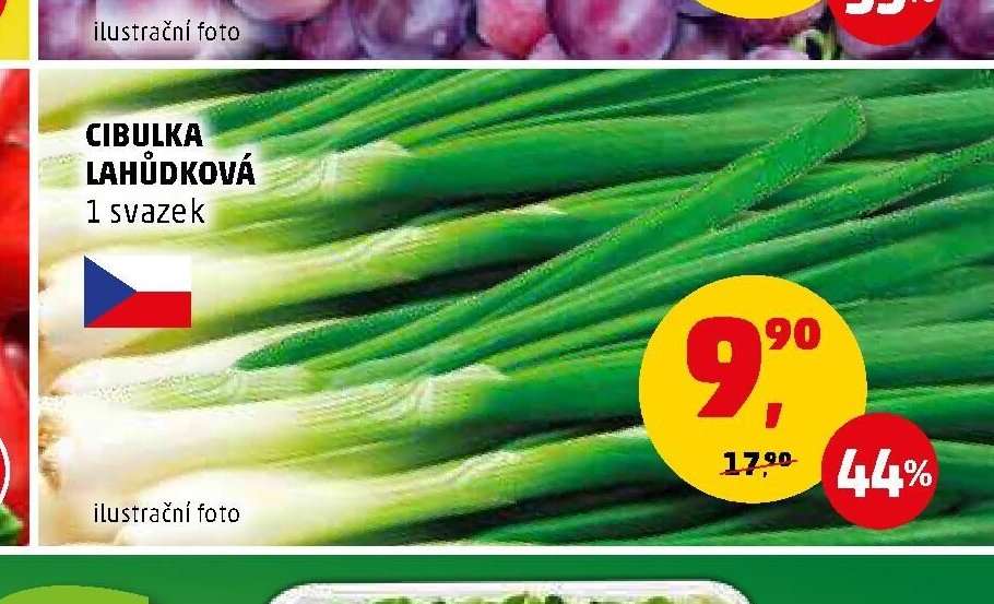 CIBULKA LAHŮDKOVÁ