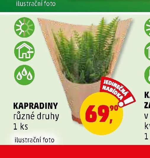 KAPRADINY
