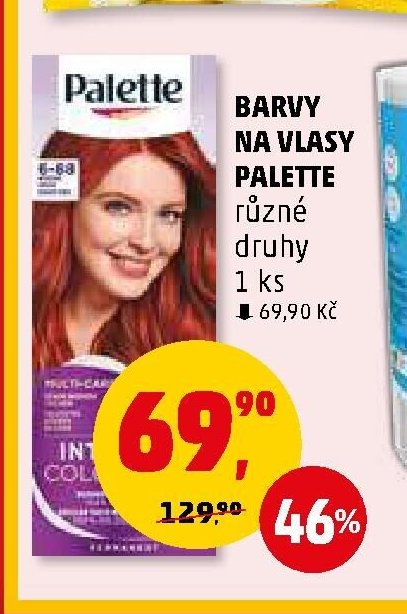 BARVY NA VLASY PALETTE
