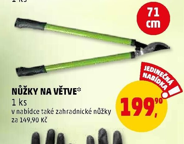 NŮŽKY NA VĚTVE