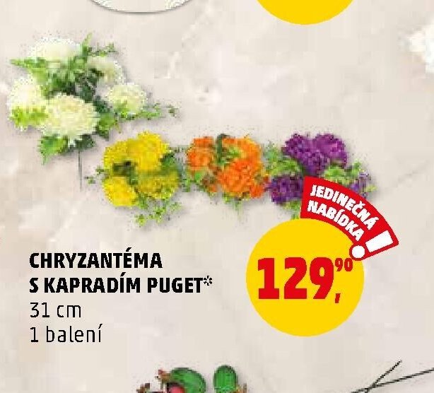 Chryzantéma s kapradím puget