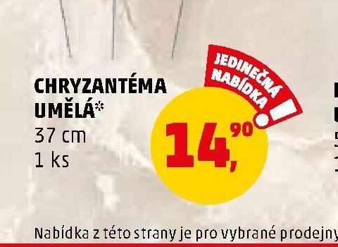 Chryzantéma umělá