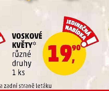 Voskové květy
