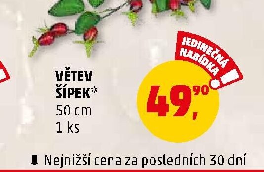 Větev šípek