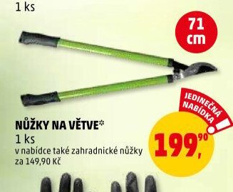 NŮŽKY NA VĚTVE