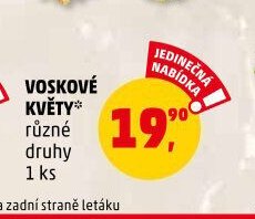 Voskové květy různé druhy 1 ks
