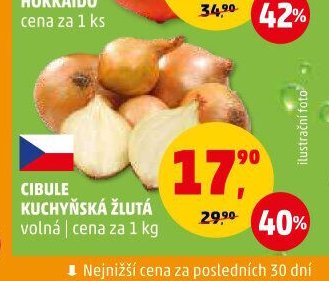 CIBULE KUCHYŇSKÁ ŽLUTÁ