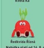 Ředkvida Řízná