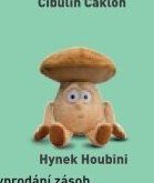 Hynek Houbini