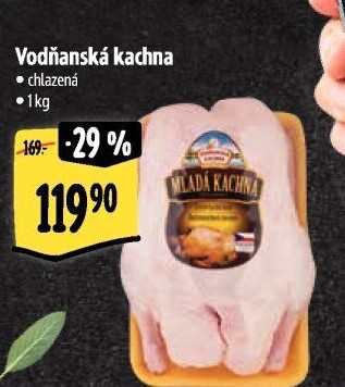 Kachna Vodňanská kachna
