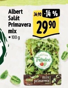 Salát Primavera mix Albert