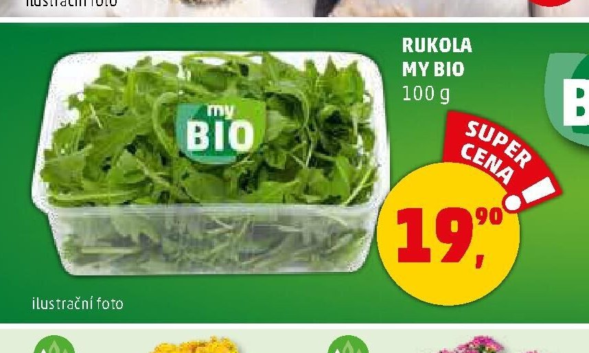 Rukola My Bio