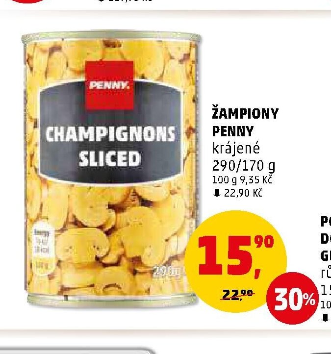 ŽAMPIONY PENNY