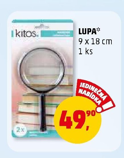 LUPA*