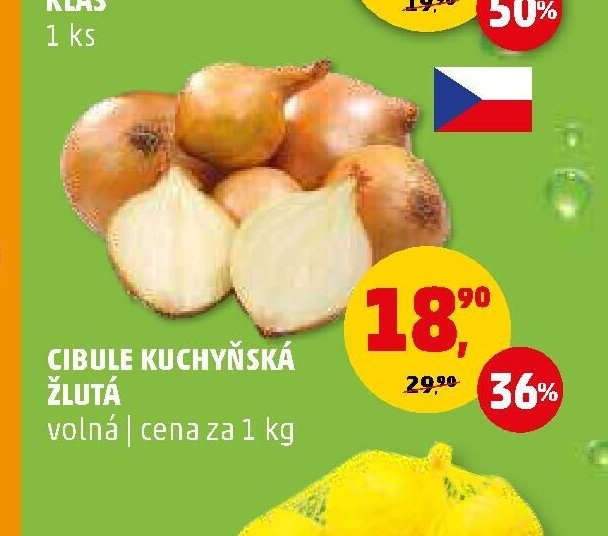 CIBULE KUCHYŇSKÁ ŽLUTÁ