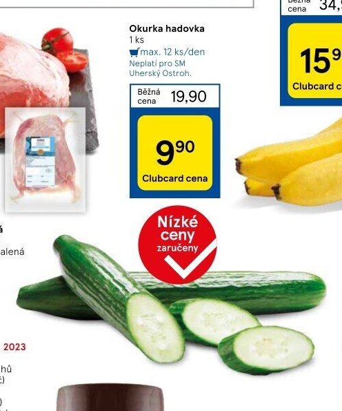Okurka hadovka 1 ks