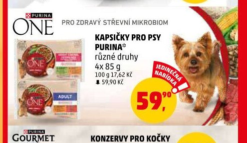 KAPSIČKY PRO PSY PURINA ONE
