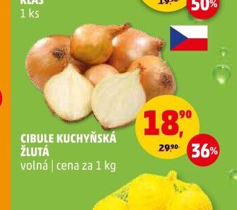CIBULE KUCHYŇSKÁ ŽLUTÁ volná | cena za 1 kg