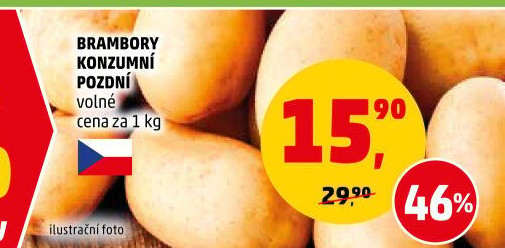 Brambory konzumní pozdní