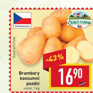 Brambory konzumní pozdní Česká farma