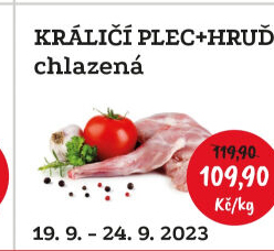 Králičí plec s hrudí