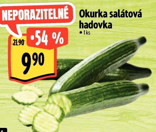 Okurka hadovka